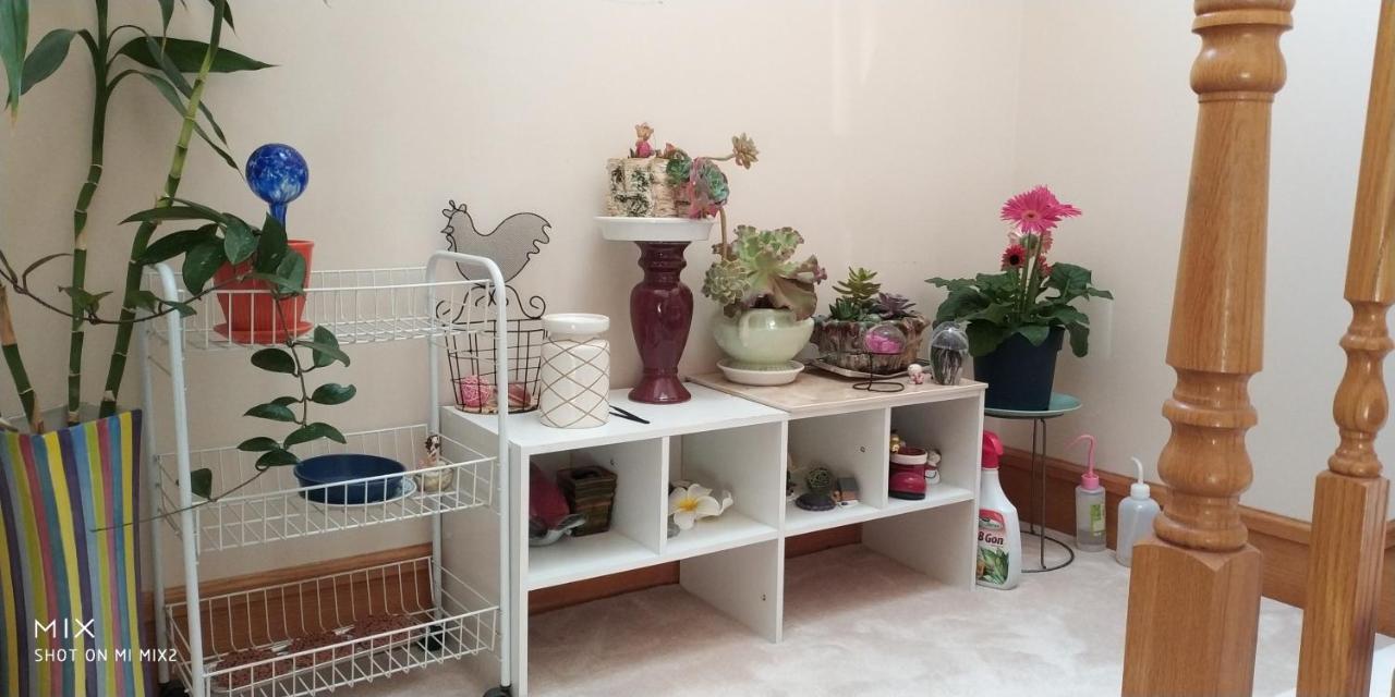 فانكوفر Helen'S House / Close To Skytrain And Airport المظهر الخارجي الصورة