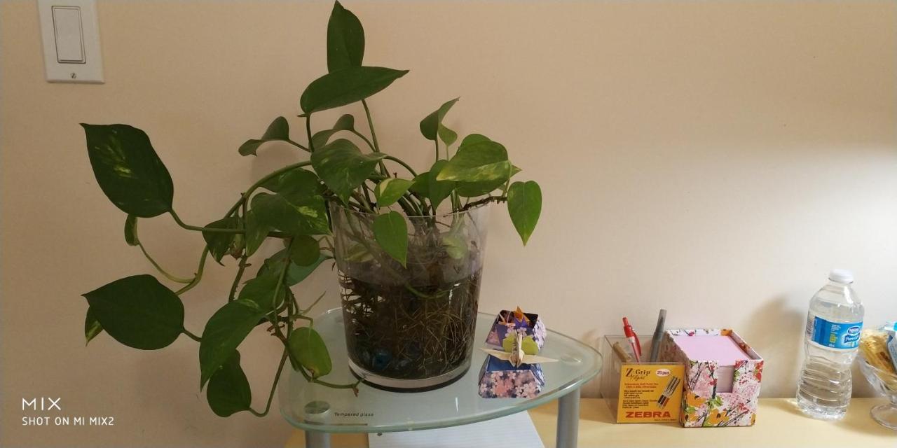فانكوفر Helen'S House / Close To Skytrain And Airport المظهر الخارجي الصورة