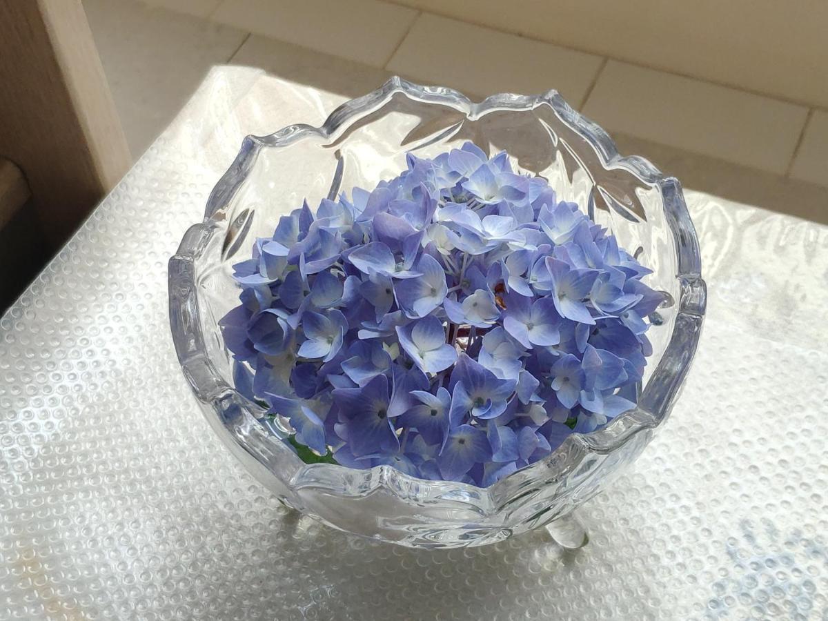 فانكوفر Helen'S House / Close To Skytrain And Airport المظهر الخارجي الصورة